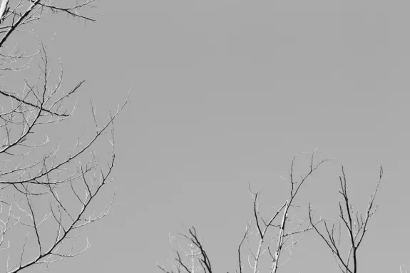 XCasino Cazinou Suport